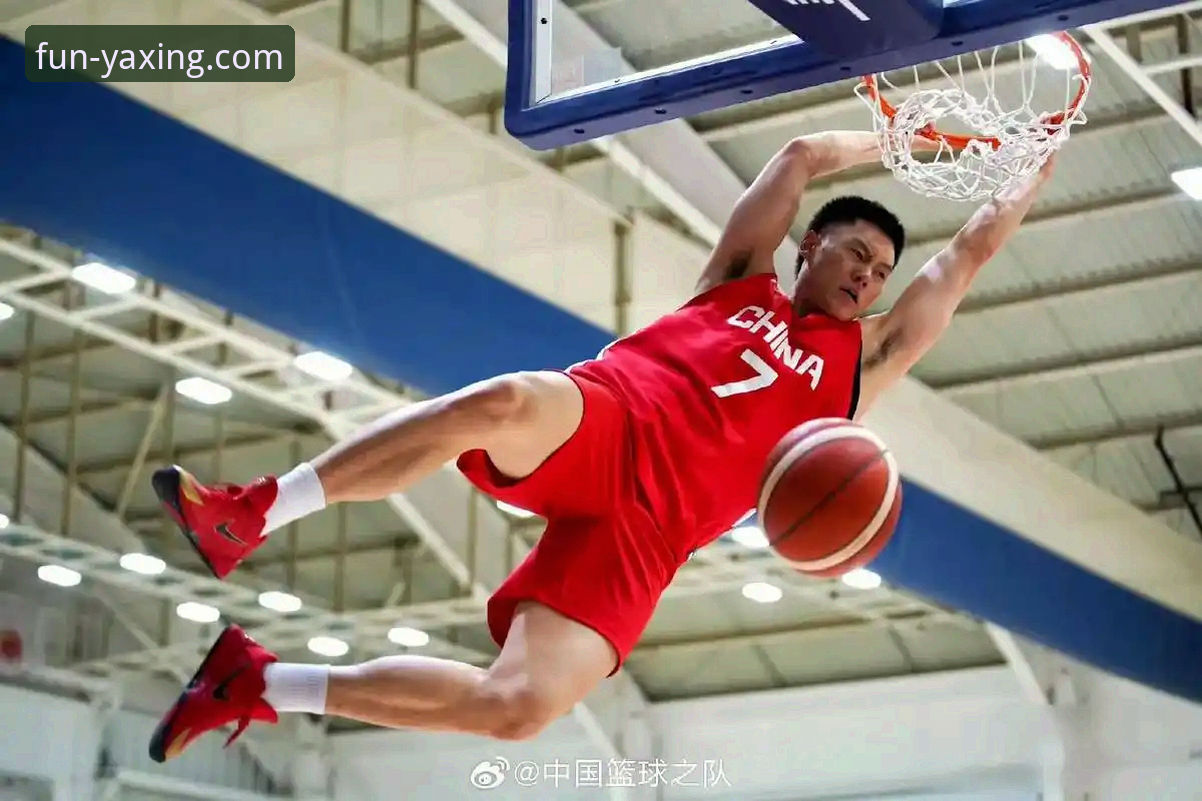 揭秘上海男篮12连胜背后的战术密码与观赛新体验